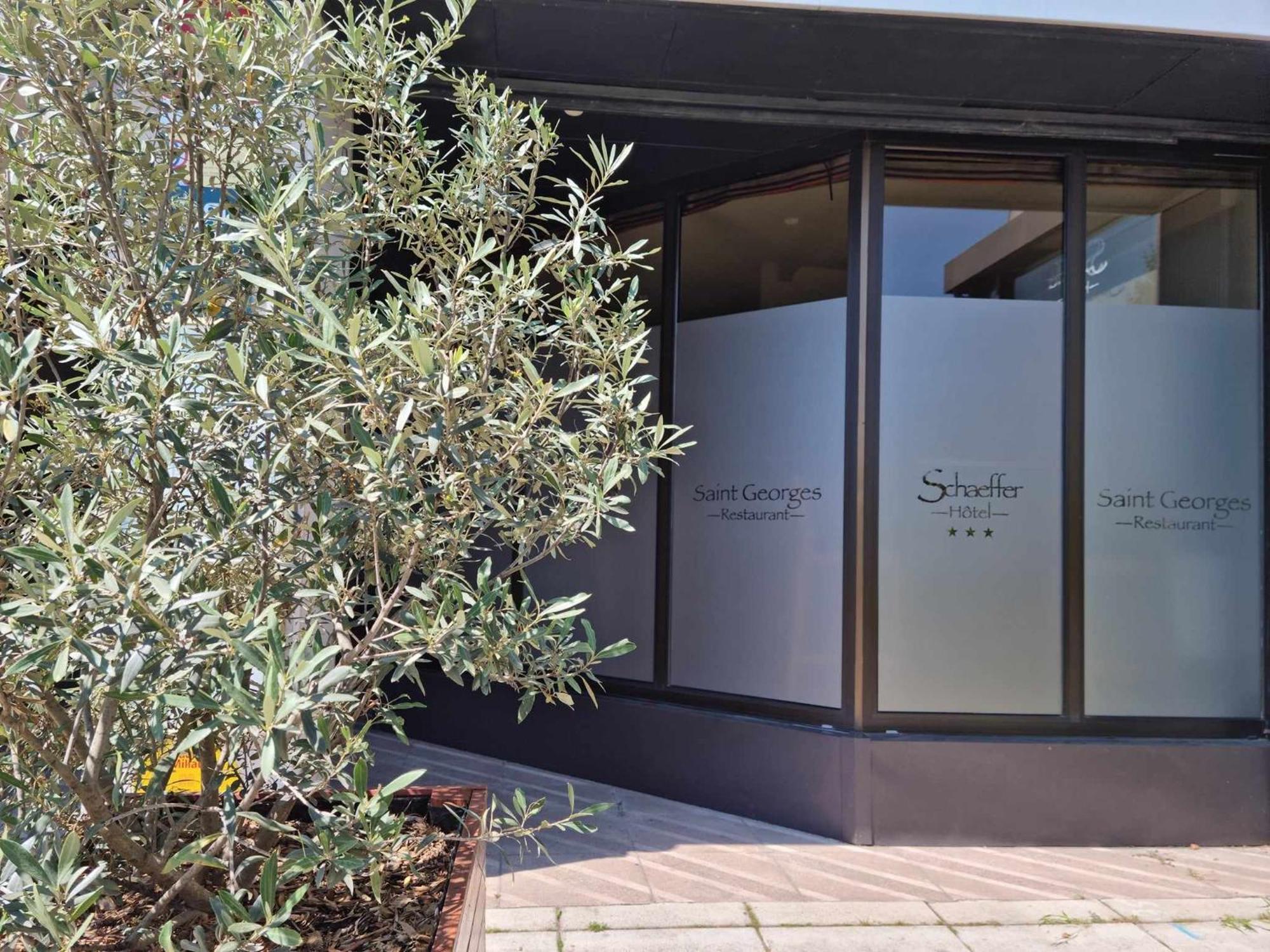 Logis Hotel Schaeffer- Restaurant Le Saint Georges Serrieres (Ardeche) Exterior foto